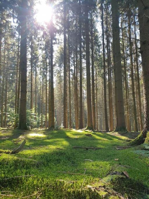 Gite N° 20, En Pleine Nature, Frontalier Signy-le-Petit المظهر الخارجي الصورة